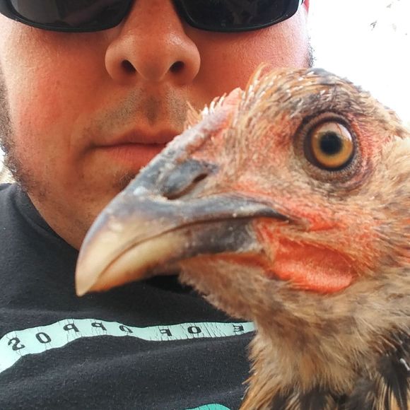 Meet your Posher, Benjamin - Picture 1 of 1